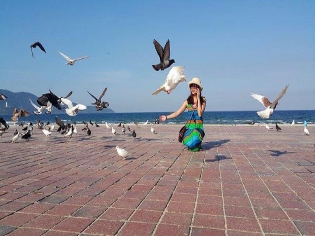 فندق توان فونج دانانج دا نانغ المظهر الخارجي الصورة